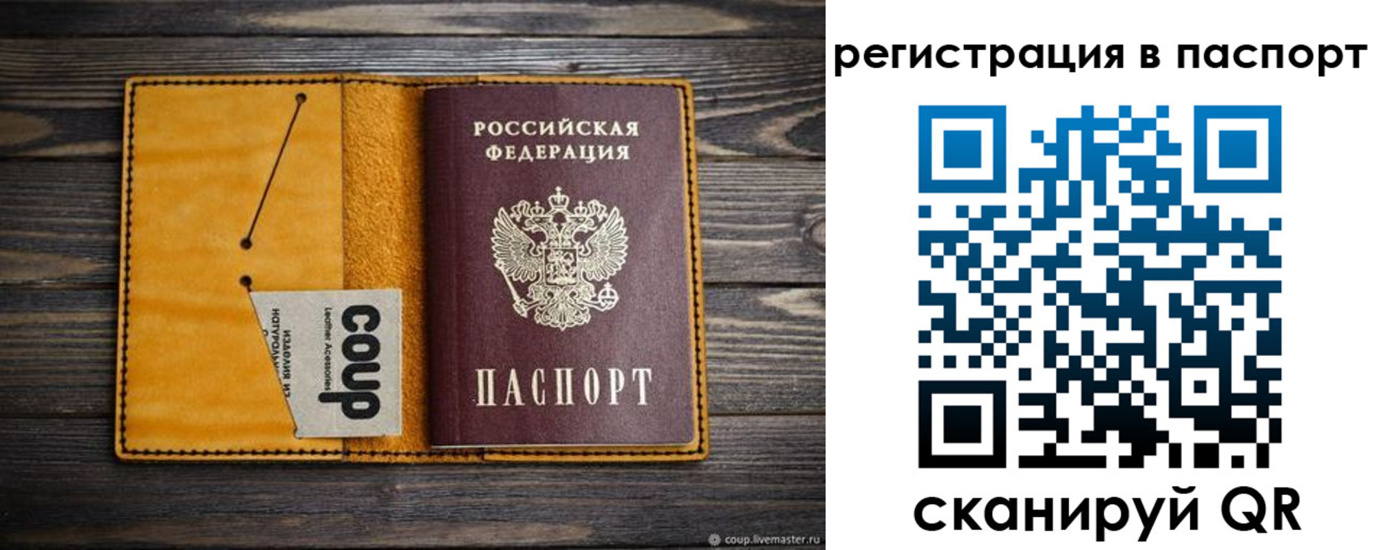 прописка ребенка в Коле